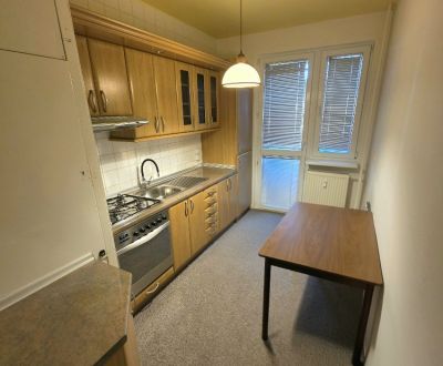 3 izbový byt Bánovce nad Bebravou/ DUBNIČKA /63 m2/ LOGGIA/ PIVNICA