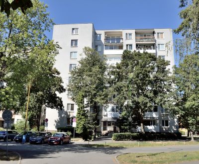 3 IZBÁK, KTORÝ VÁS NA NÁKLADOCH NEZRUINUJE: LEN 121 € MESAČNE!
