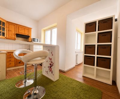 Na prenájom 1 izbový byt po rekonštrukcii – Banská Bystrica/centrum