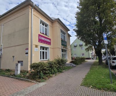 KANCELÁRIA V CENTRE ZVOLENA, 12M2