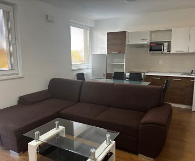 ZARIADENÁ NOVOSTAVBA 1, 5 izb. bytu- DUBOVÝ VŔŠOK
