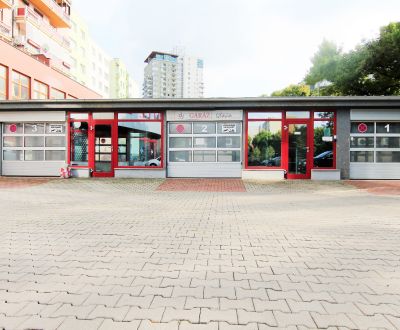 Bezpečné garážové státie v automatickom park. dome, Záhradnícka ul.