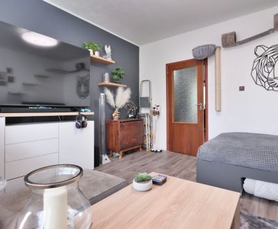 Dvojizbový byt s plochou 51 m² v mestskej časti Martin - Záturčie