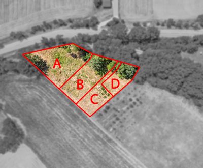 Stavebné pozemky od 442m2 do 1077m2, Skalka nad Váhom