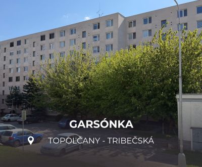 GARSÓNKA | TRIBEČSKÁ | TOPOĽČANY