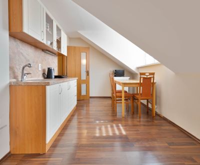 2 IZBOVÝ APARTMÁN - SLIAČ