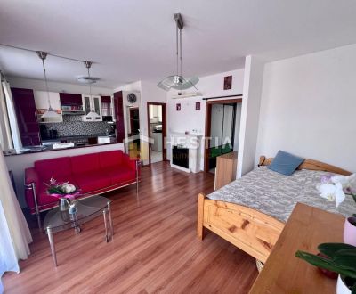 NA PRENÁJOM – KOMPLETNE ZREKONŠTRUOVANÝ 1-IZBOVÝ BYT S BALKÓNOM V PIEŠ