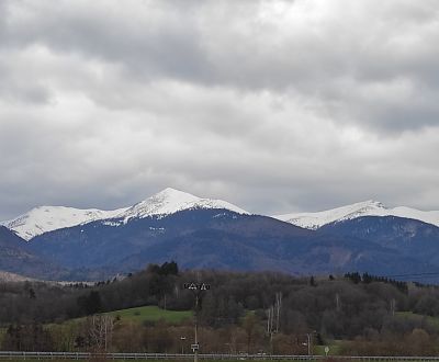 TURANY-veľký rekreačný pozemok v blízkosti časti TRUSALOVÁ7667 m2