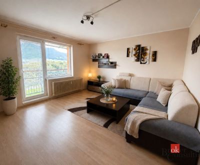 3-IZBOVÝ TEHLOVÝ BYT | OKOLIČNÉ | 66 m² + PIVNICA | NOVÁ ELEKTRINA