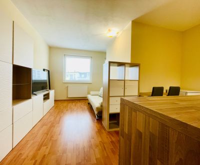 | Štýlový moderne zariadený 1-izb. byt | 30 m² | Senec