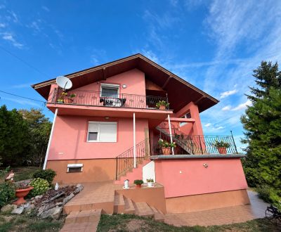 VEĽKORYSÝ DOM V KRUŠOVCIACH | 3 BYTOVÉ JEDNOTKY | 925 m² pozemok