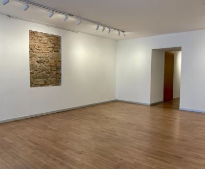 I Prenájom NEBYTOVÉHO PRIESTORU 104 m² | PANSKÁ ULICA 