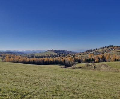 Pozemok na predaj v obci Detvianska Huta.