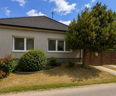 Rodinný dom s veľkým pozemkom 2 381 m² v Budmericiach 