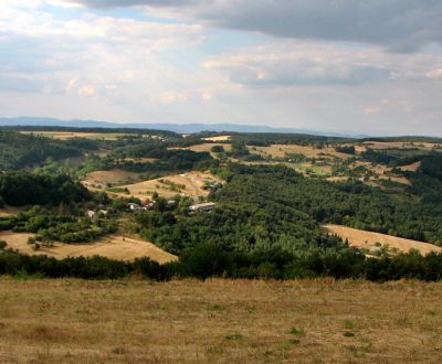 Pozemok (17 041m2) v obci Hrušov okr. Veľký Krtíš.