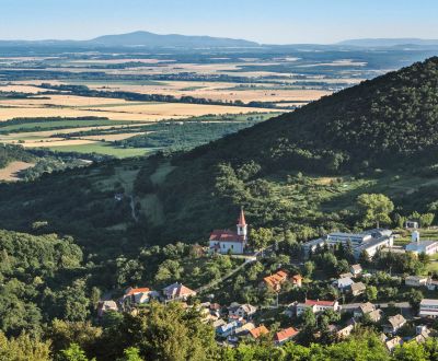 Pozemok (12 812m2) v obci Hrušov okr. Veľký Krtíš.