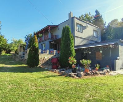 Jedinečný areál s dvoma domami na pozemku 5600 m² – D. Plachtince