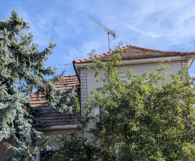Starší dom na Chrenovej s pozemkom 1116m2, možnosť stavby druhého domu