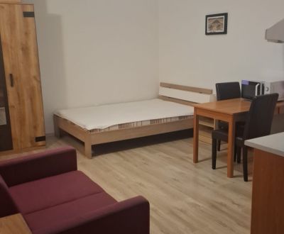 PONÚKAME VÁM NA PRENÁJOM 1iz BYT NA KOPÁNKE