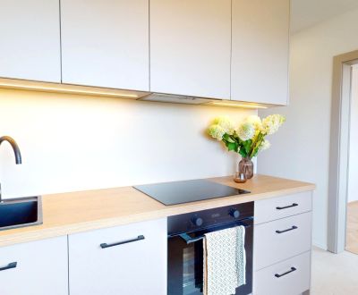 3-IZBOVÝ BYT PO KOMPLETNEJ REKONŠTRUKCII S 3 BALKÓNMI (NOVÁ DUBNICA)