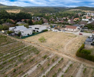  PREDAJ ATRAKTÍVNEHO SP V LIMBACHU 770,5 m2