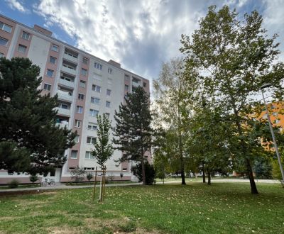 Jednoizbový byt po kompletnej rekonštrukcii sídlisko A. Trajan