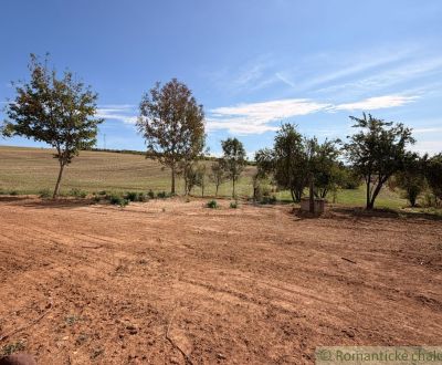 VEĽKÝ POZEMOK (3565 m2) V OBCI DEDINKA – IDEÁLNY PRE DOM, ZVIERATÁ AJ 