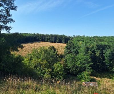 Na predaj - Pozemok 792m2 v žiadanej lokalite Stupava pod lesom s UPI 