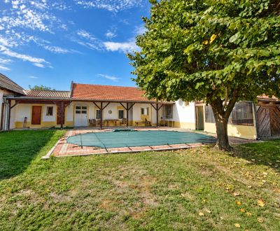 Predaj rodinný dom, sauna, bazén, 1 996 m2 pozemok, Feketeerdő