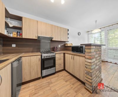 3-izbový byt s loggiou a 30 m² pivnicou | Ružový háj,