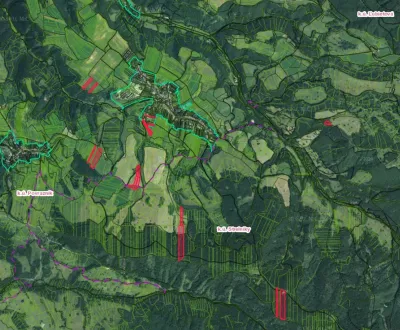 Strelníky a Ľubietová – 4.000 m2 ORNÁ PÔDA a LES