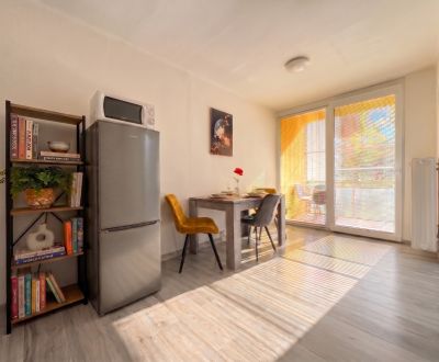 | 2-izbový byt PET friendly, SIHOŤ | Trenčín 