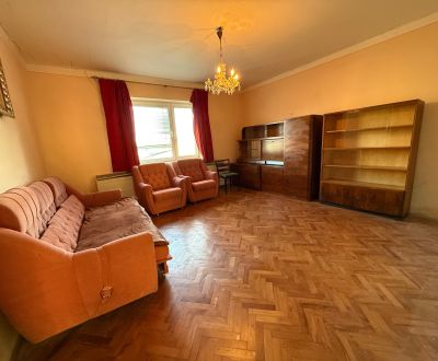 Na predaj , rodinný dom , 4 izby , veľký pozemok , Černík