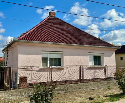 NA PREDAJ 2 IZBOVÝ RODINNÝ DOM S LETNOU KUCHYNKOU, DULOVCE