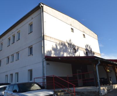 Priestranný 3-izbový byt s nízkymi nákladmi v obci Malá Čausa.