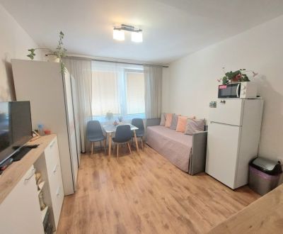 KOMPLETNE PREROBENÁ GARSÓNKA + PIVNICA: Nitra – Chrenová ! 