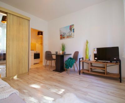 Exkluzívne na predaj kompletne zrekonštruovaná garsónka 25 m2, Žilina