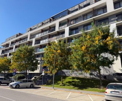 Predaj 2 izbový byt, 58 m2, Slnečnice, ul. Zuzany Chalupovej