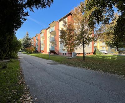 NA PREDAJ! 2 izbový byt v pôvodnom stave 64m2 ul. Gen. Viesta, Trenčín