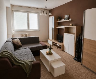 KOMPLETNE ZREKONŠTRUOVANÝ 1-IZBOVÝ BYT V TRENČÍNE – JUH, 35 m², ZARIAD