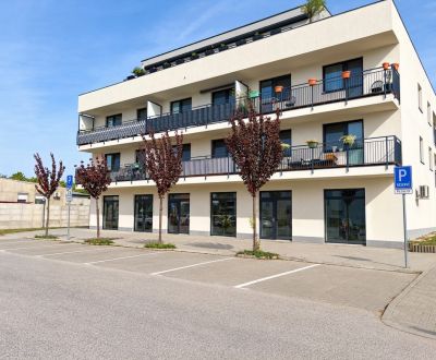 2 IZBOVY BYT 46.16m2 + 8m2 loggia - NOVOSTAVBA | TT - MODRANKA