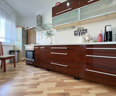 Na predaj: VEĽKÝ 3 izb.byt + LOGGIA + PIVNICA + ŠPAJZA + ŠATNÍK