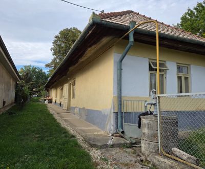 PREDAJ - Pozemok 2400 m2 s chalupou - GOLIANOVO