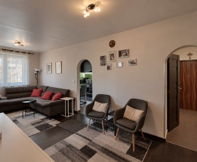 3- izbový byt na  Viglašskej ulici 