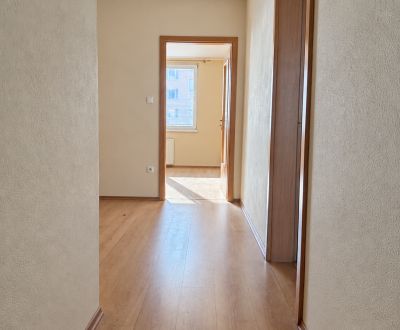 Priestranný 2-izbový byt - 61,5 m², kpt. Nálepku