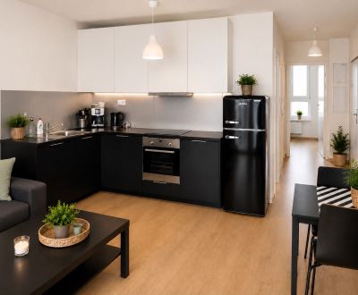 Veľký 2-izbový byt s balkónom v projekte Tammi