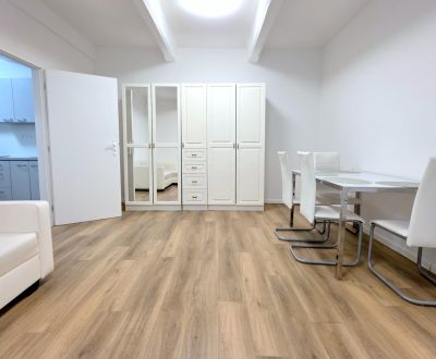 MODERNÝ 2i byt, REKONŠTRUKCIA, CENTRUM, Grösslingova ulica,Staré Mesto