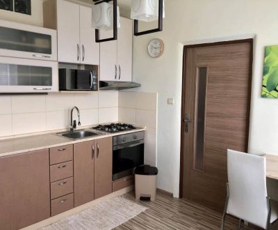 PRENÁJOM: 1-izbový byt s balkónom, 41 m2, komplet prerobený, THK   