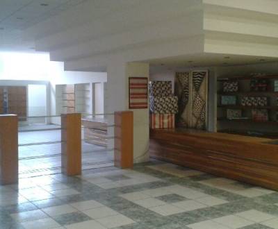 Prenájom obchodných priestorov v Galante