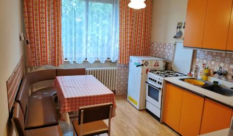 Rodinný dom s pozemkom, 8 á, Kochová ulica, Nitra - Drážovce
